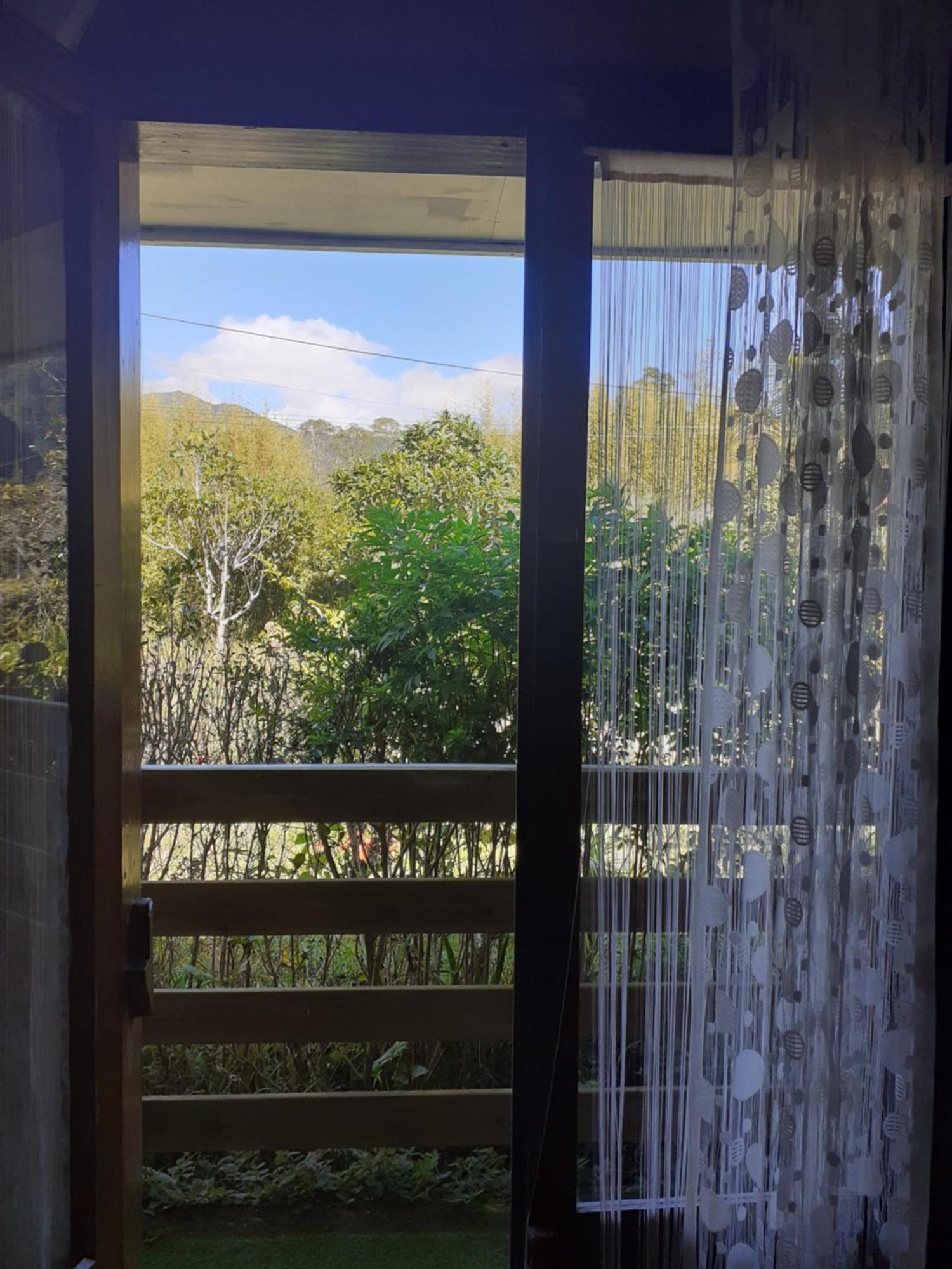 Le Clos Des Mimosas ลาแปลน เดส์ ปาล์มิสต์ ภายนอก รูปภาพ